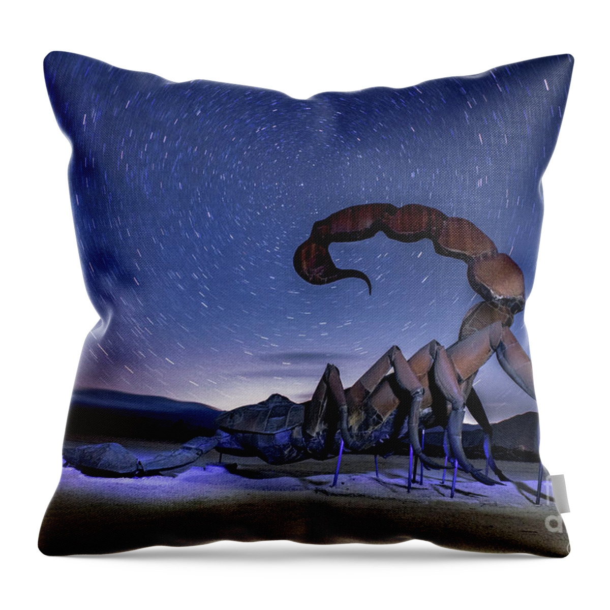 Scorpion Throw Pillow featuring the photograph Scorpion and Star Trail Circles by Joanne West