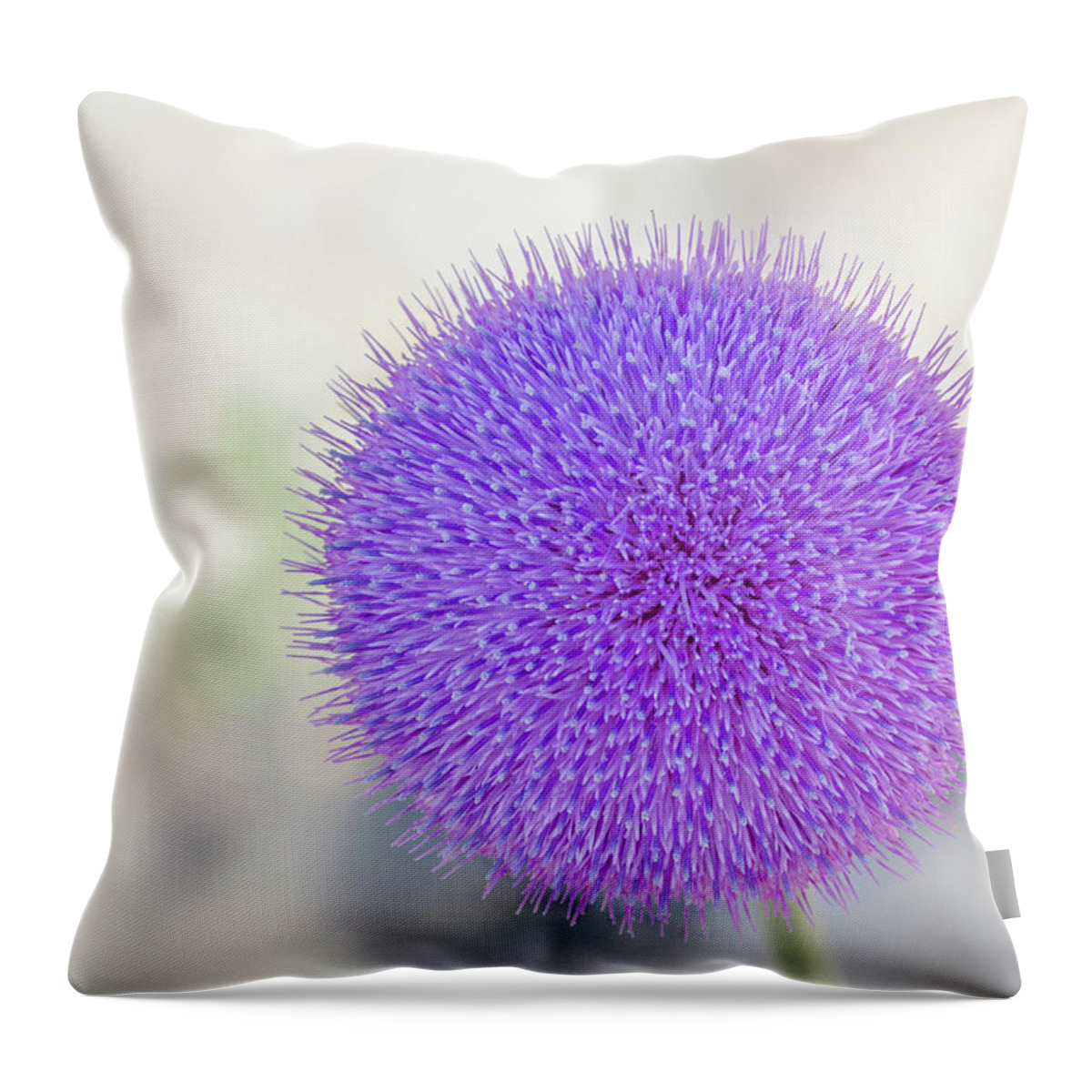 Scotch Throw Pillow featuring the photograph Scotch thistle by Rick Mosher