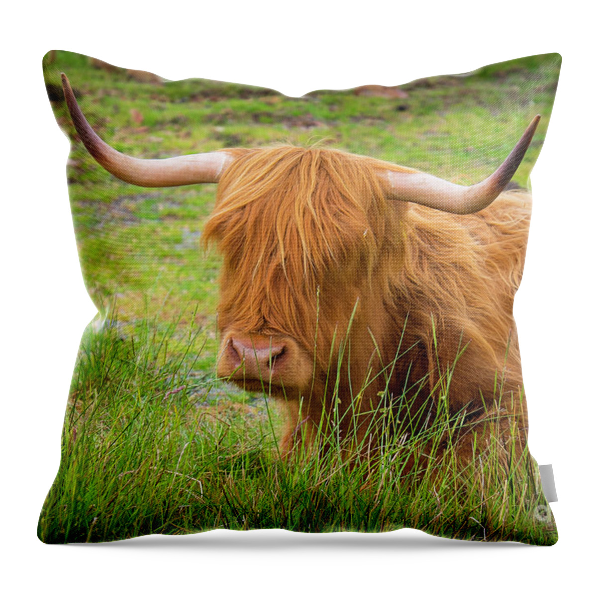 Scotland Throw Pillow featuring the photograph Scotland by Milena Boeva