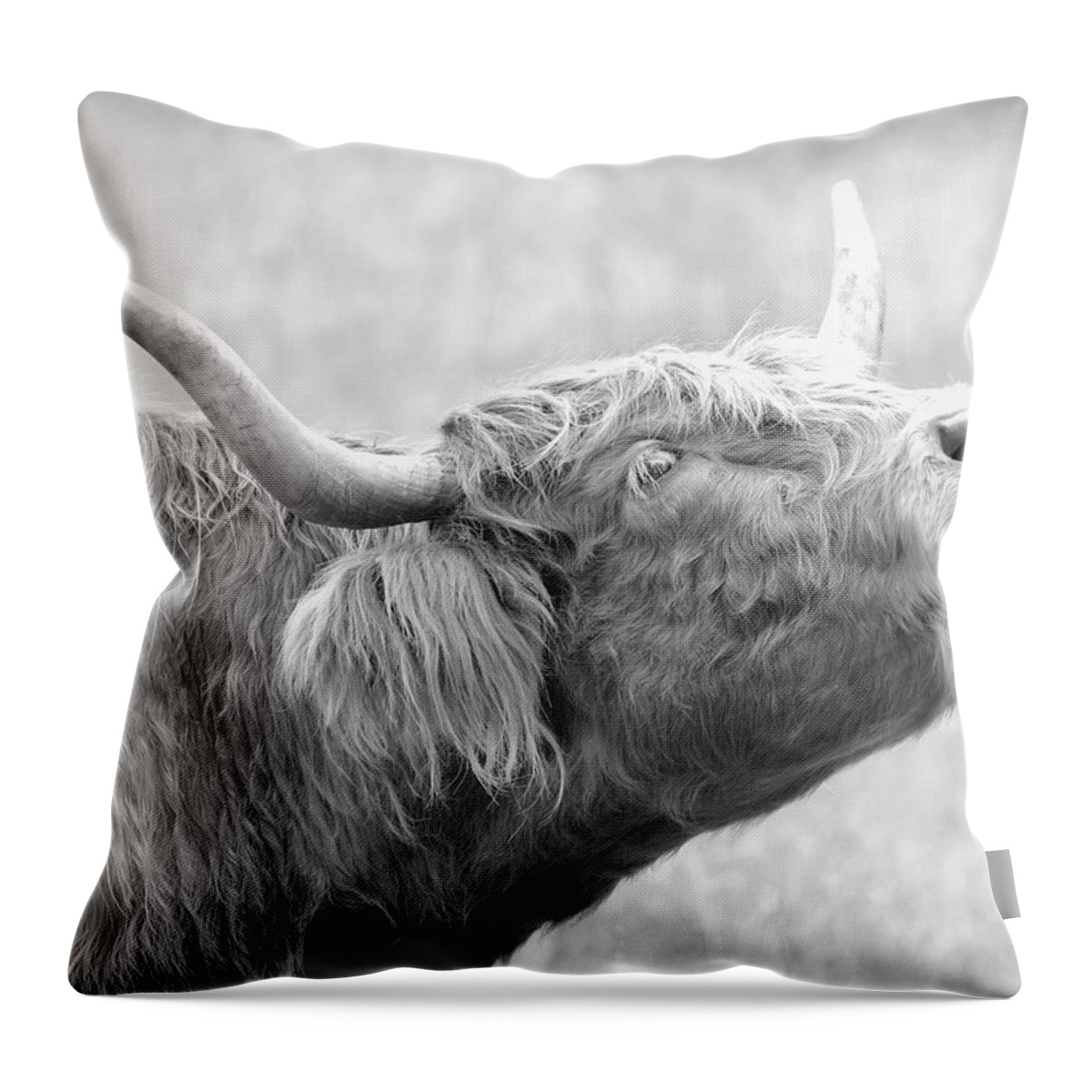 Highland Cow Throw Pillow featuring the photograph Scottish Bull Call by Steve McKinzie