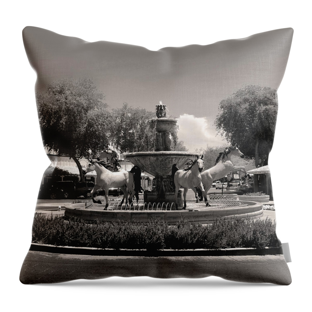 Bronze Throw Pillow featuring the photograph Scottsdale Spirit by Gordon Beck