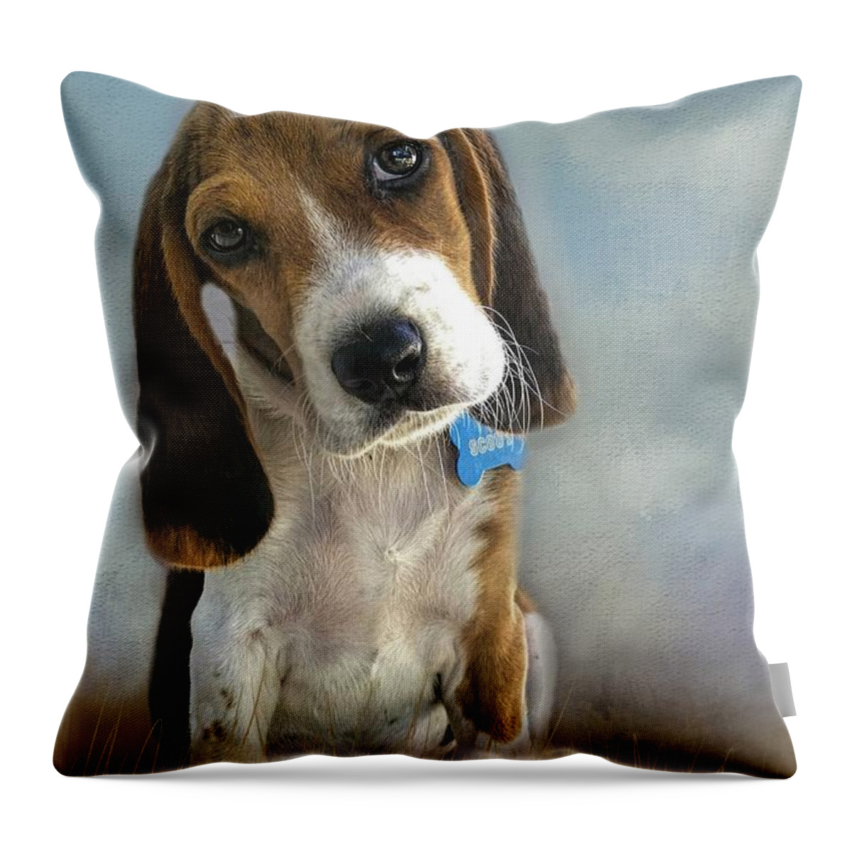 Scout Throw Pillow featuring the photograph Scout by Steven Richardson