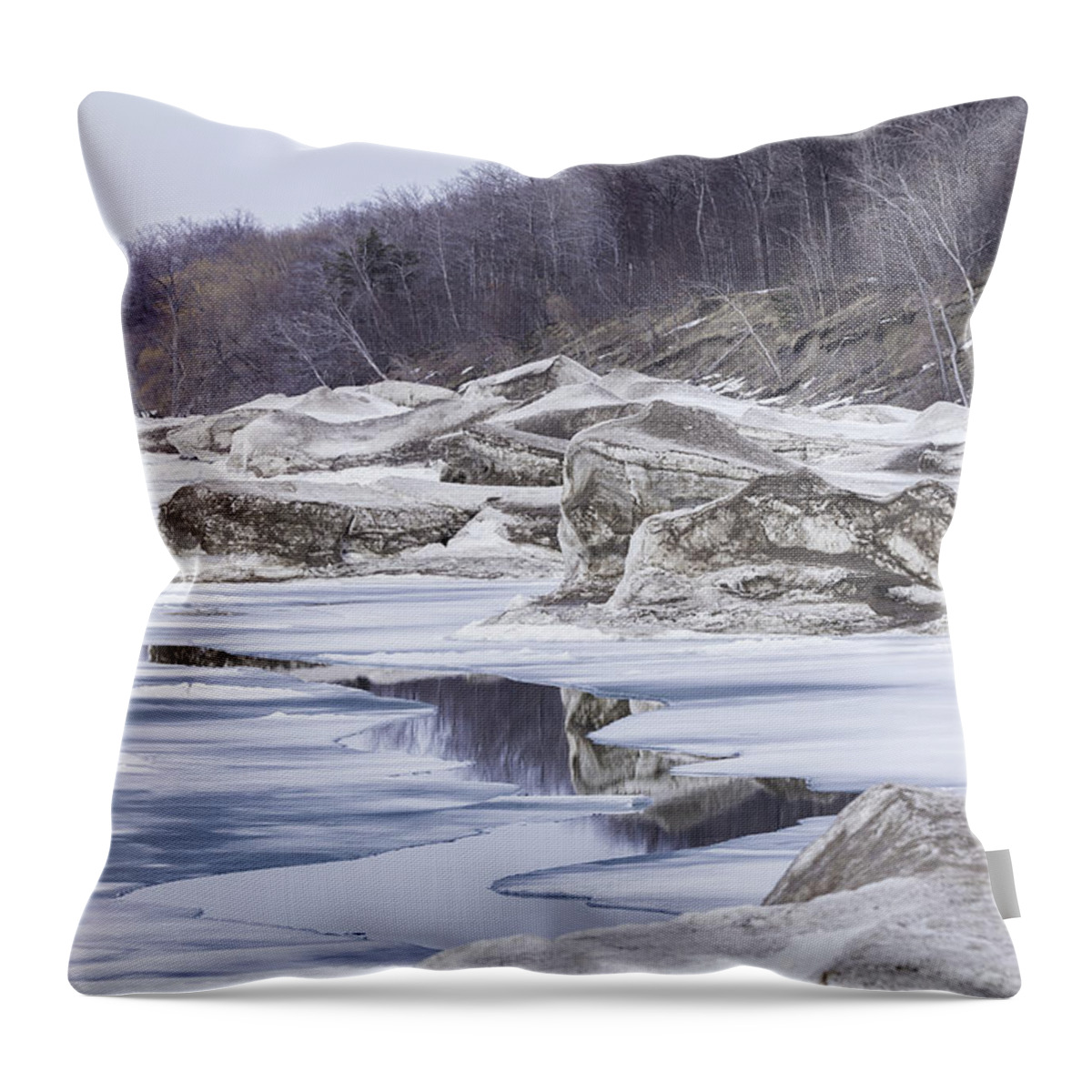 Lake Ontario Throw Pillow featuring the photograph Sculptures of the Wind by Everet Regal