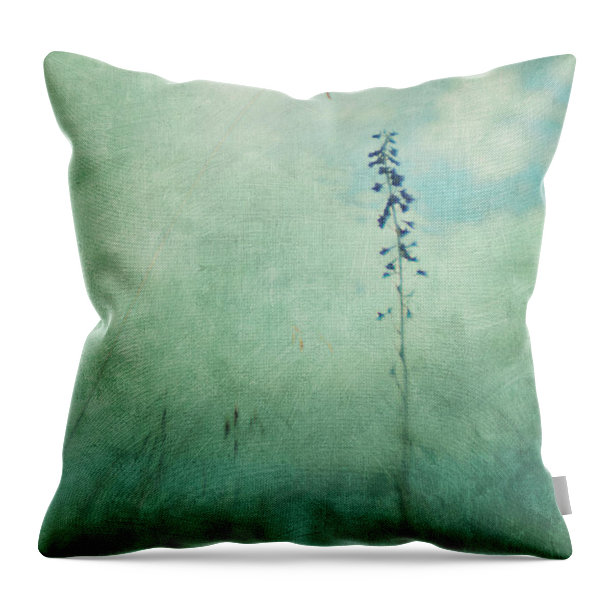Flowers Throw Pillow featuring the photograph Summer Meadow Poem 1 by Priska Wettstein