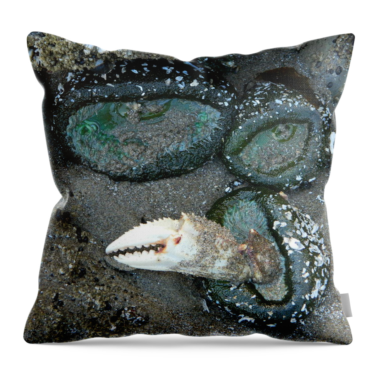 Sea Anemones Throw Pillow featuring the photograph Sea Anemones and a Crab Pincher by Gallery Of Hope 