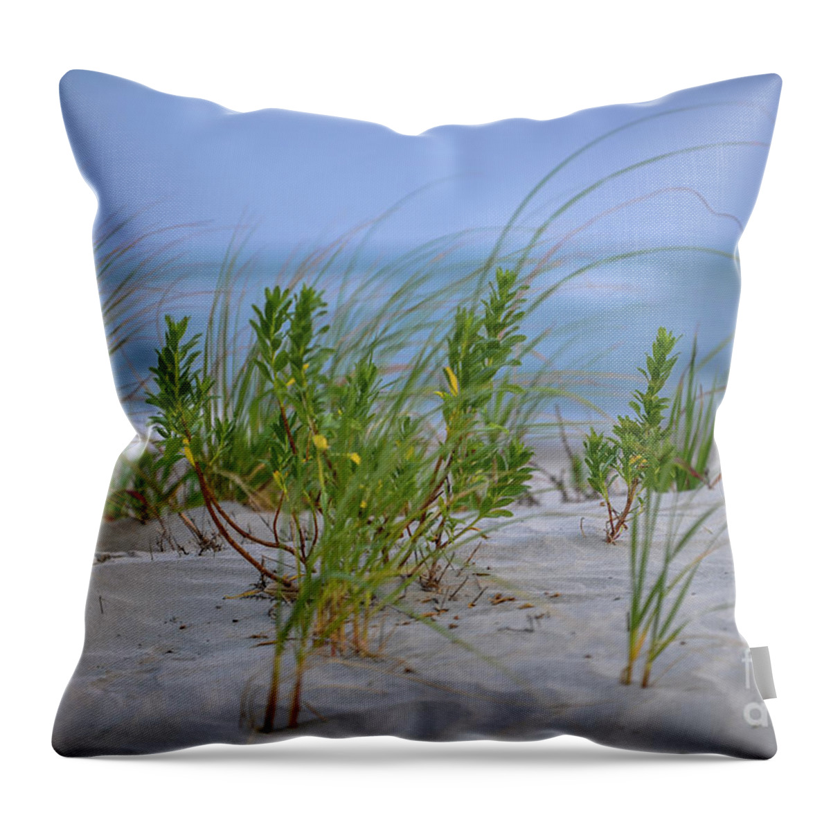 Beach Throw Pillow featuring the photograph Sea Grass Blowing in the Wind by Dale Powell