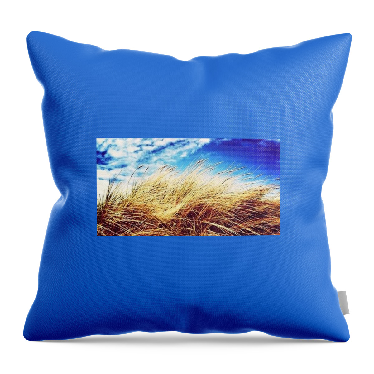 Seaside Throw Pillow featuring the photograph Sea Grass by Zoe Calvert