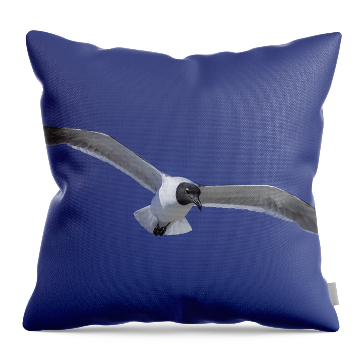 Original Throw Pillow featuring the photograph Sea Gull on the wing by WAZgriffin Digital