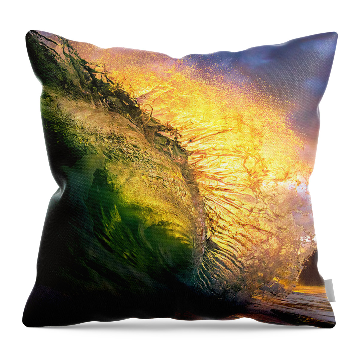  Throw Pillow featuring the photograph Sea Horse by Micah Roemmling