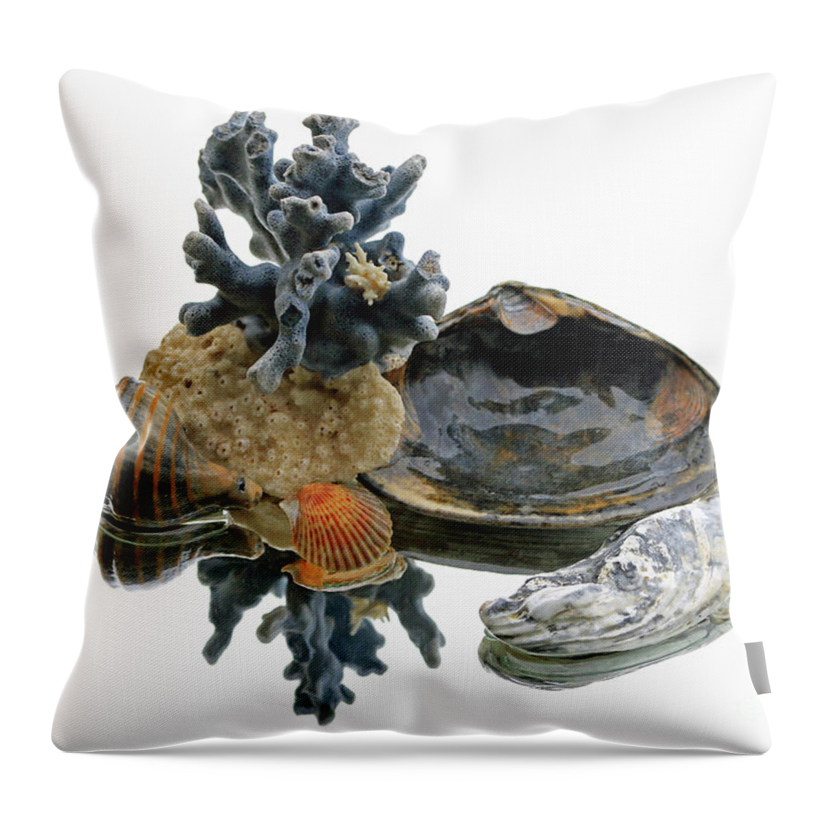 Still Life Throw Pillow featuring the photograph Sea Life Still Life by Mary Haber
