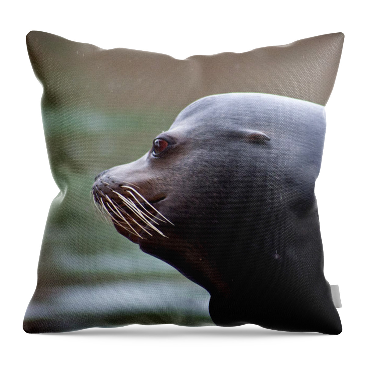Sea Lion Throw Pillow featuring the photograph Sea Lion's Profile In The Rain by Miroslava Jurcik
