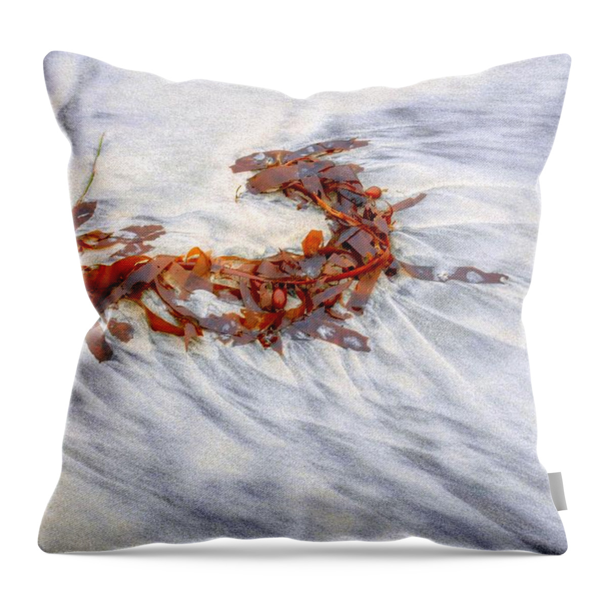 Sand Throw Pillow featuring the photograph Sea Necklace by Richard Omura