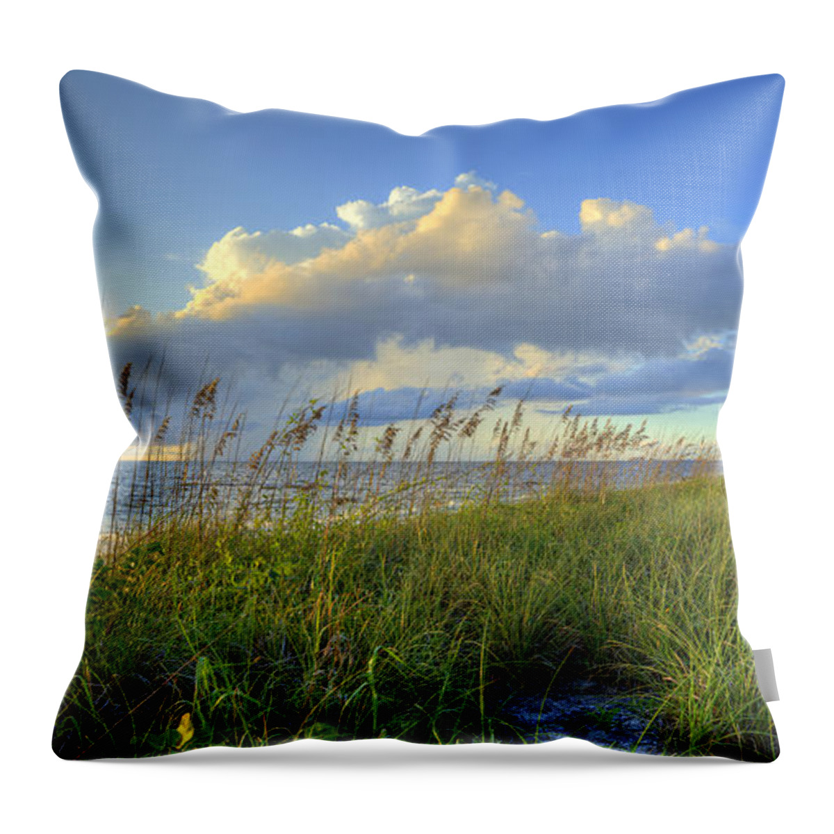 Southwest Throw Pillow featuring the photograph Sea Oats by Sean Allen