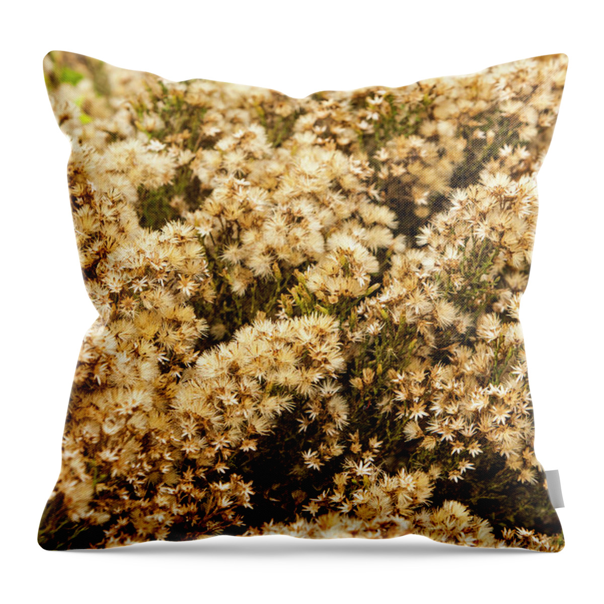 Foliage Throw Pillow featuring the photograph Sea of flowers by Jason Hughes