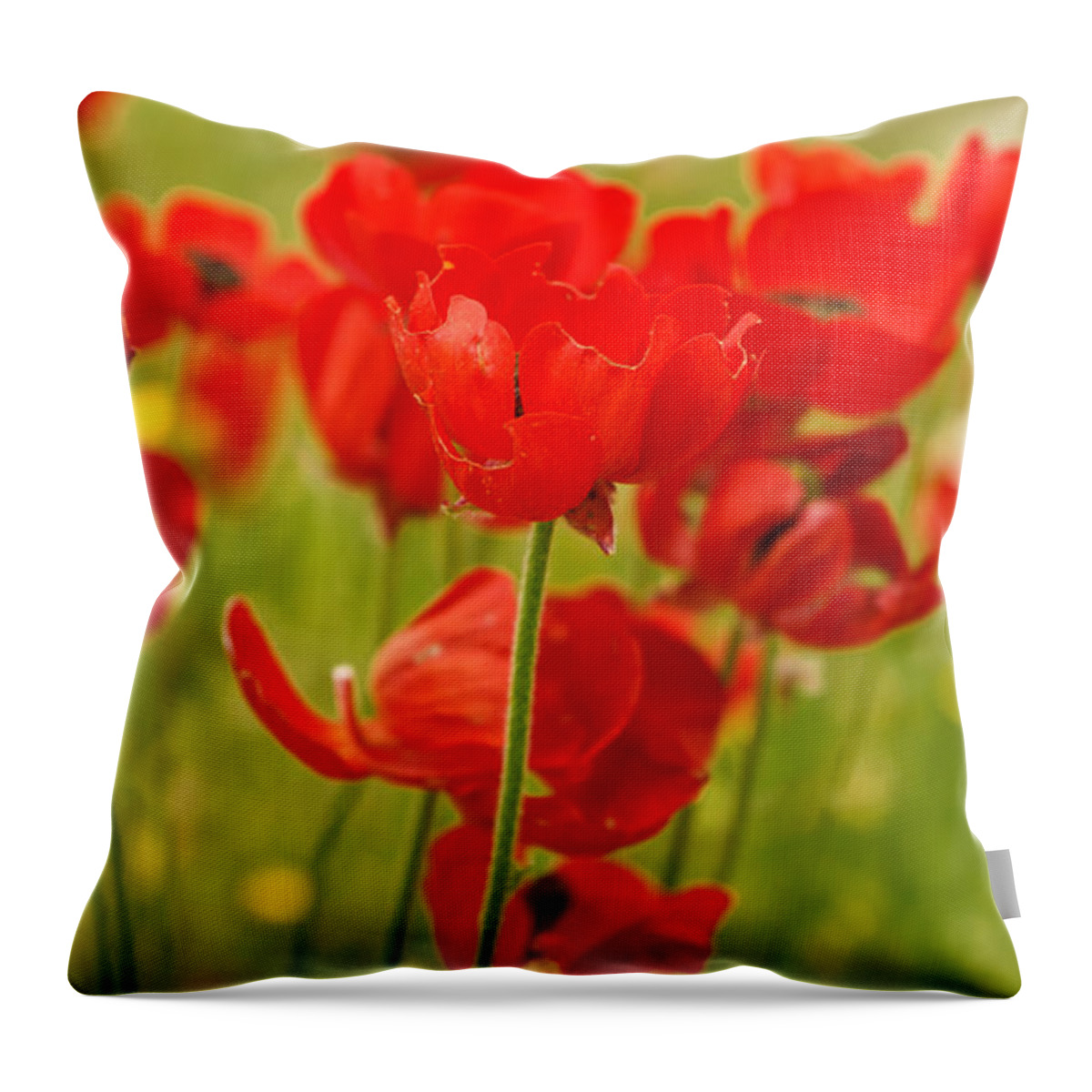 Flowers Throw Pillow featuring the photograph Sea of Red Buttercups by Uri Baruch