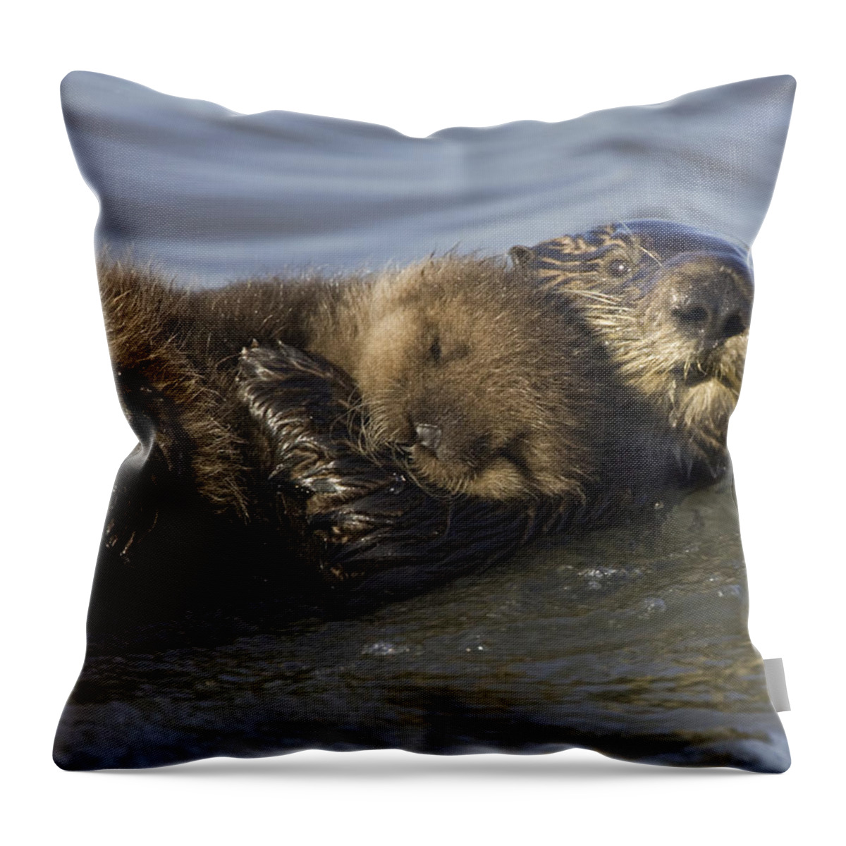00438549 Throw Pillow featuring the photograph Sea Otter Mother With Pup Monterey Bay by Suzi Eszterhas