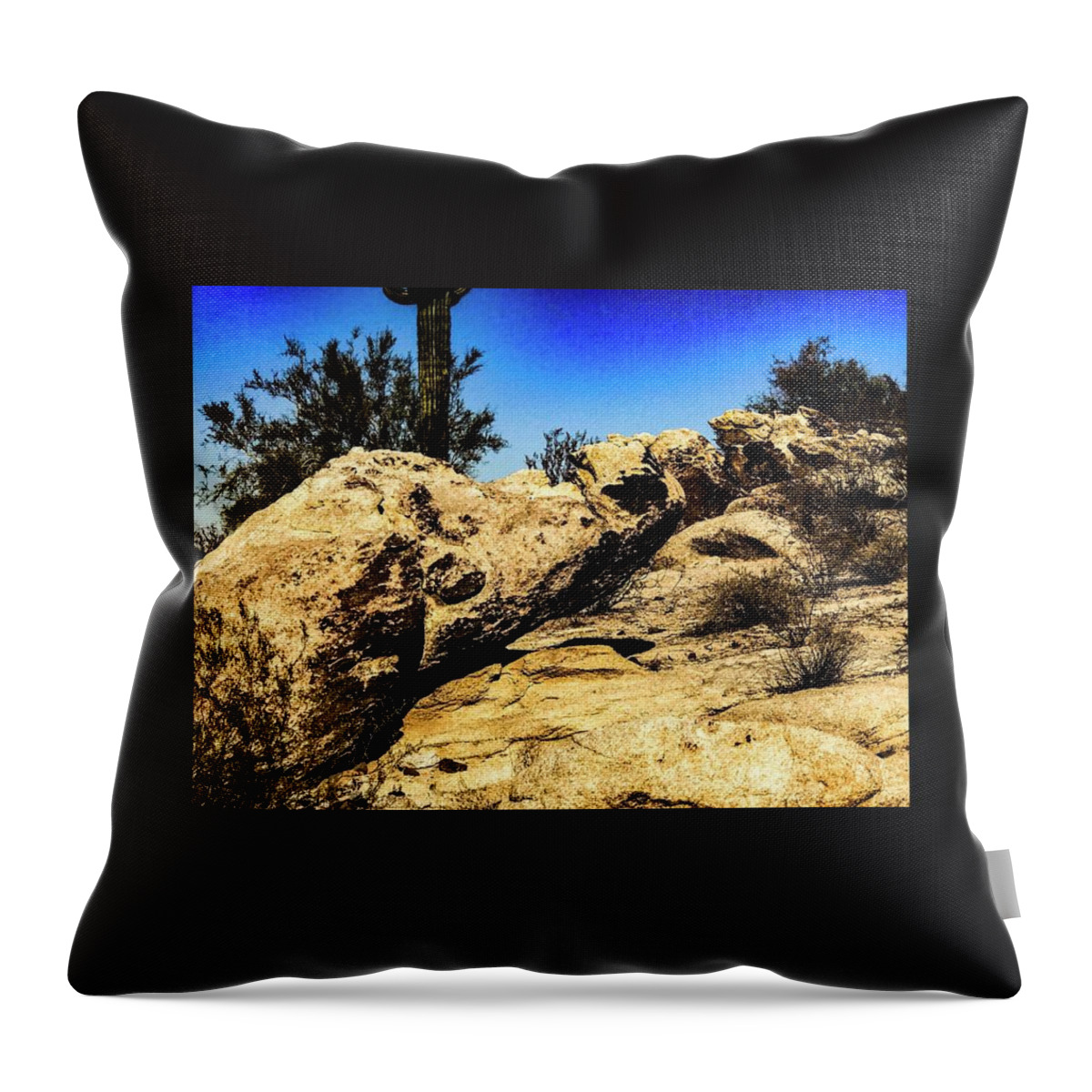 Rock Landscape Desert Sky Otter Laying In Back Throw Pillow featuring the photograph Sea otter rock by Rick Reesman