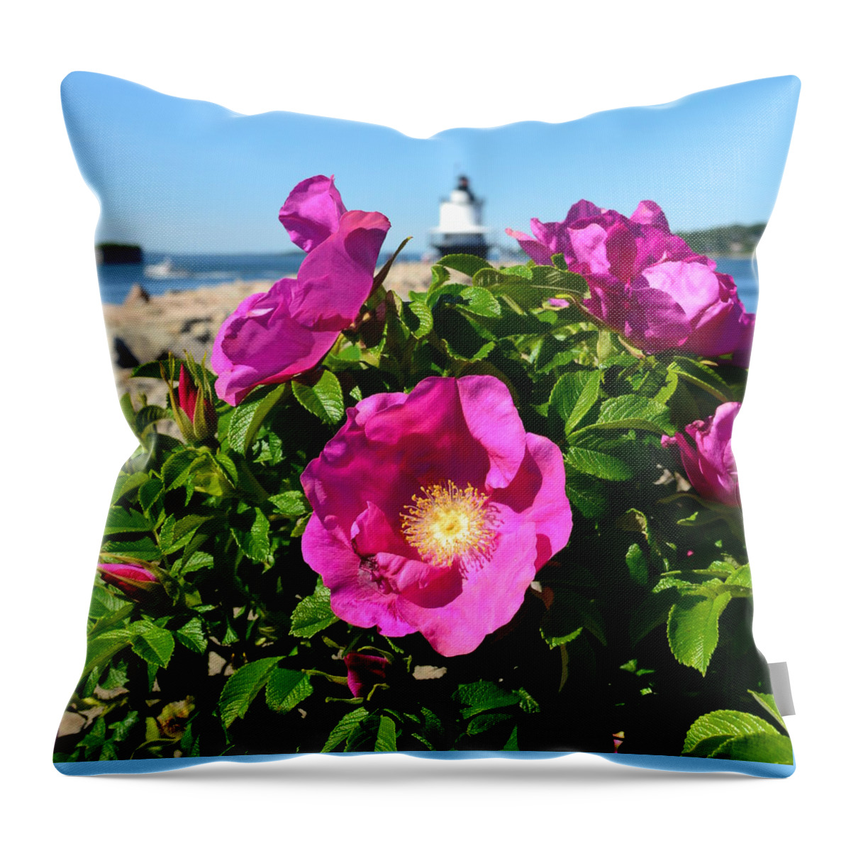 Sea Roses Throw Pillow featuring the photograph Sea Roses by Colleen Phaedra