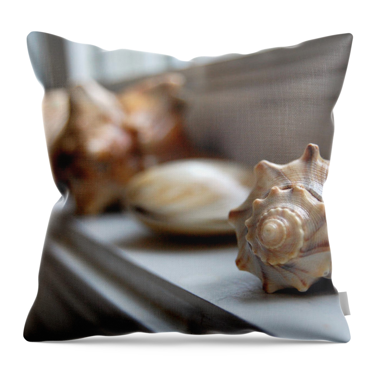 Seashells Throw Pillow featuring the photograph Sea Shells by Robert Meanor