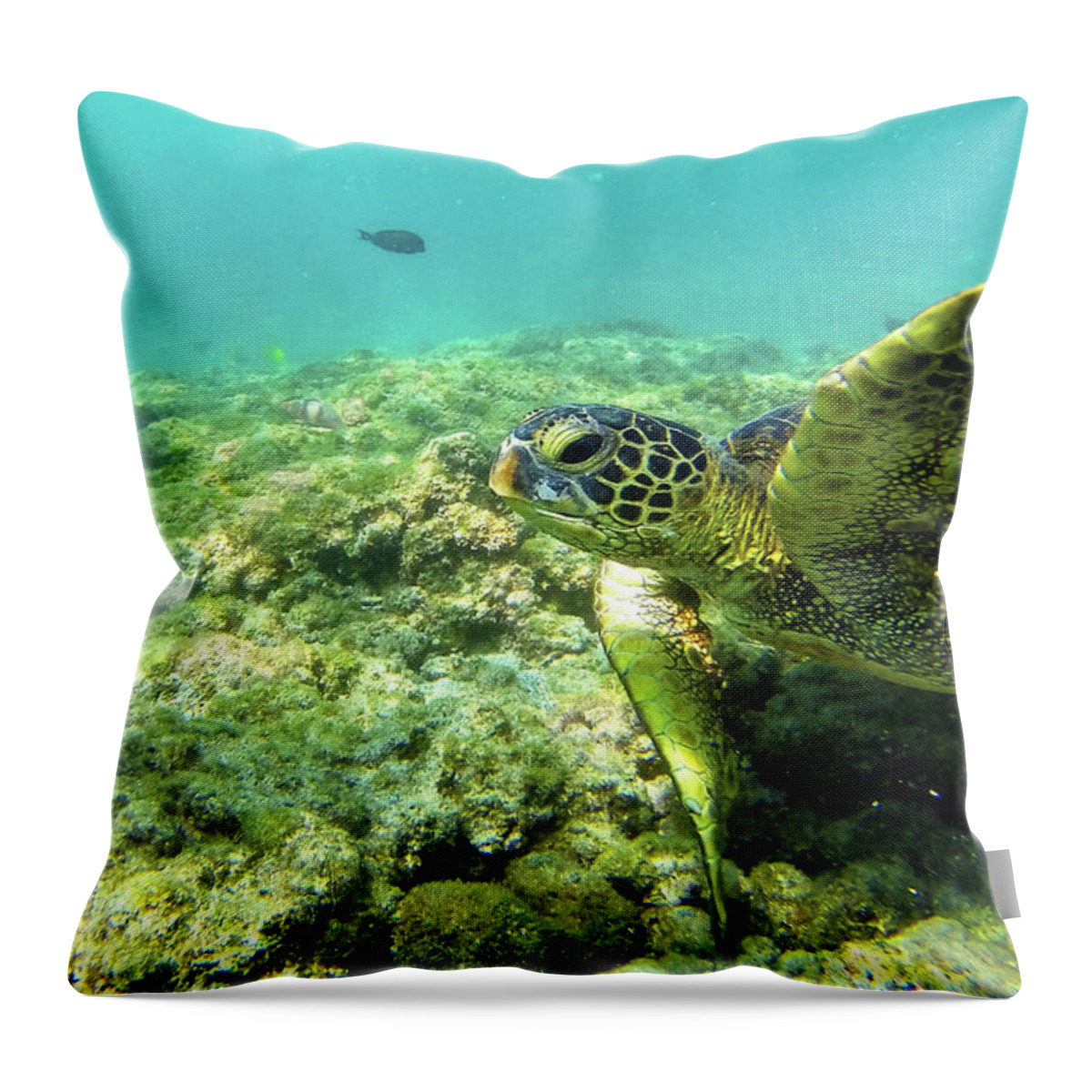 Underwater Throw Pillow featuring the photograph Sea Turtle #2 by Anthony Jones