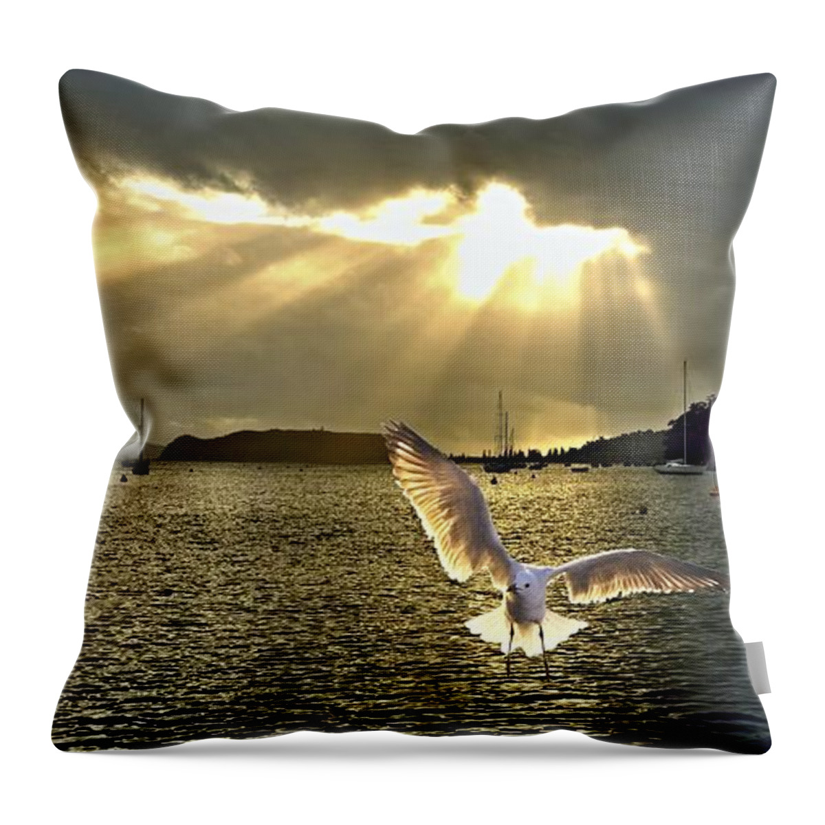 Seagul Throw Pillow featuring the photograph Seagull at Sunrise with Crepuscula Rays. by Geoff Childs