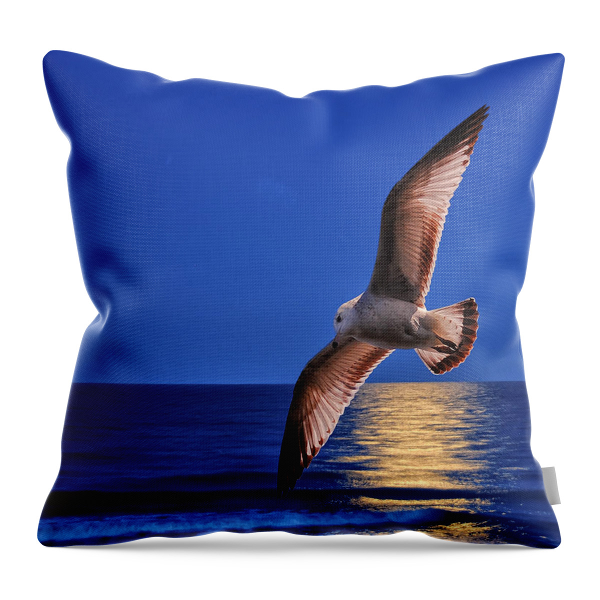 Seagull Throw Pillow featuring the photograph Seagull in the moonlight by Peg Runyan