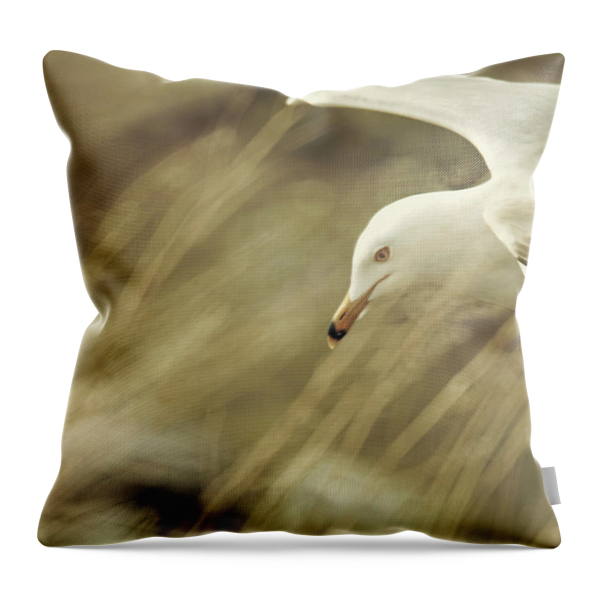 Seagull Throw Pillow featuring the photograph Seagull in Wheat by Carrie Ann Grippo-Pike