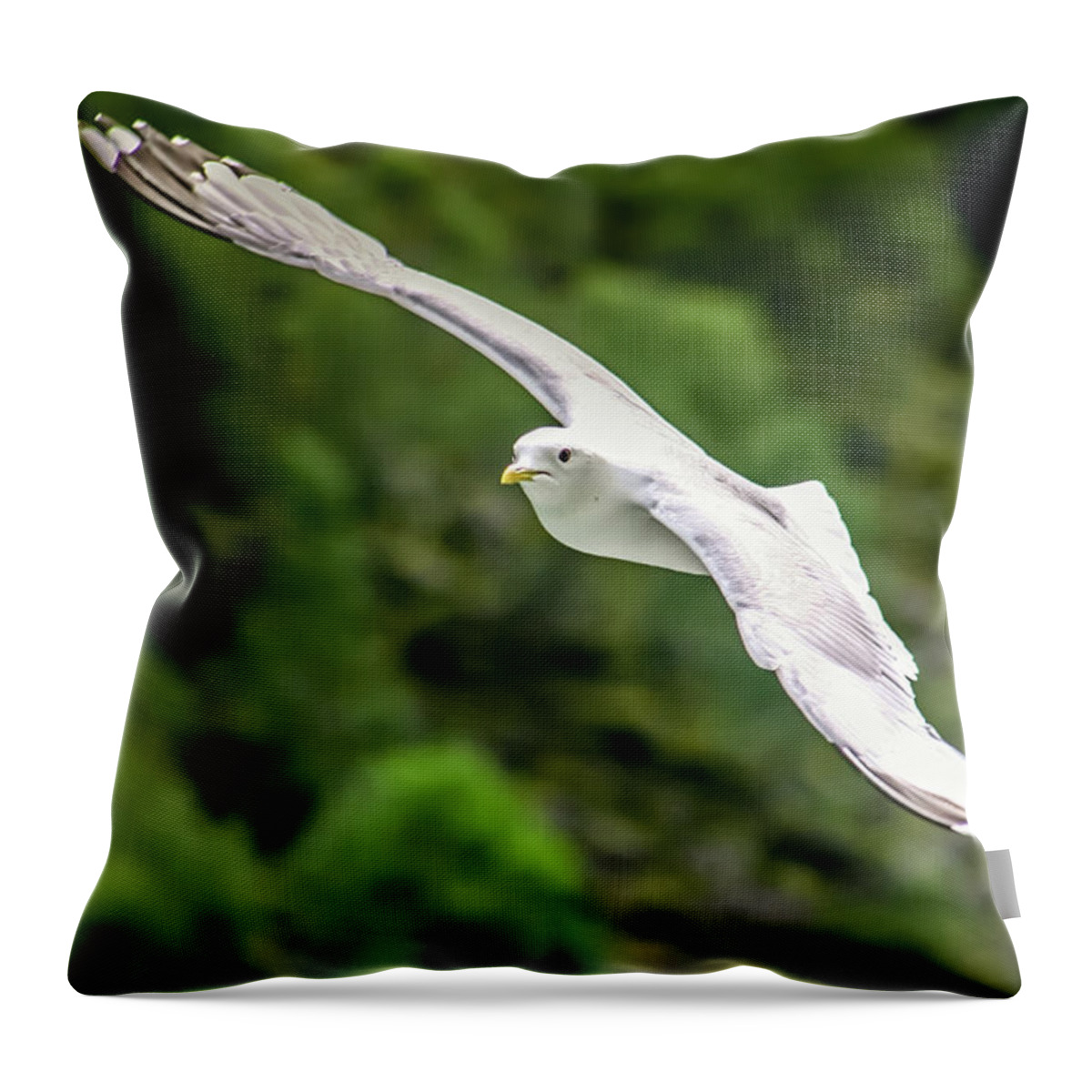 Seagull Throw Pillow featuring the photograph Seagull on the Fjord by KG Thienemann