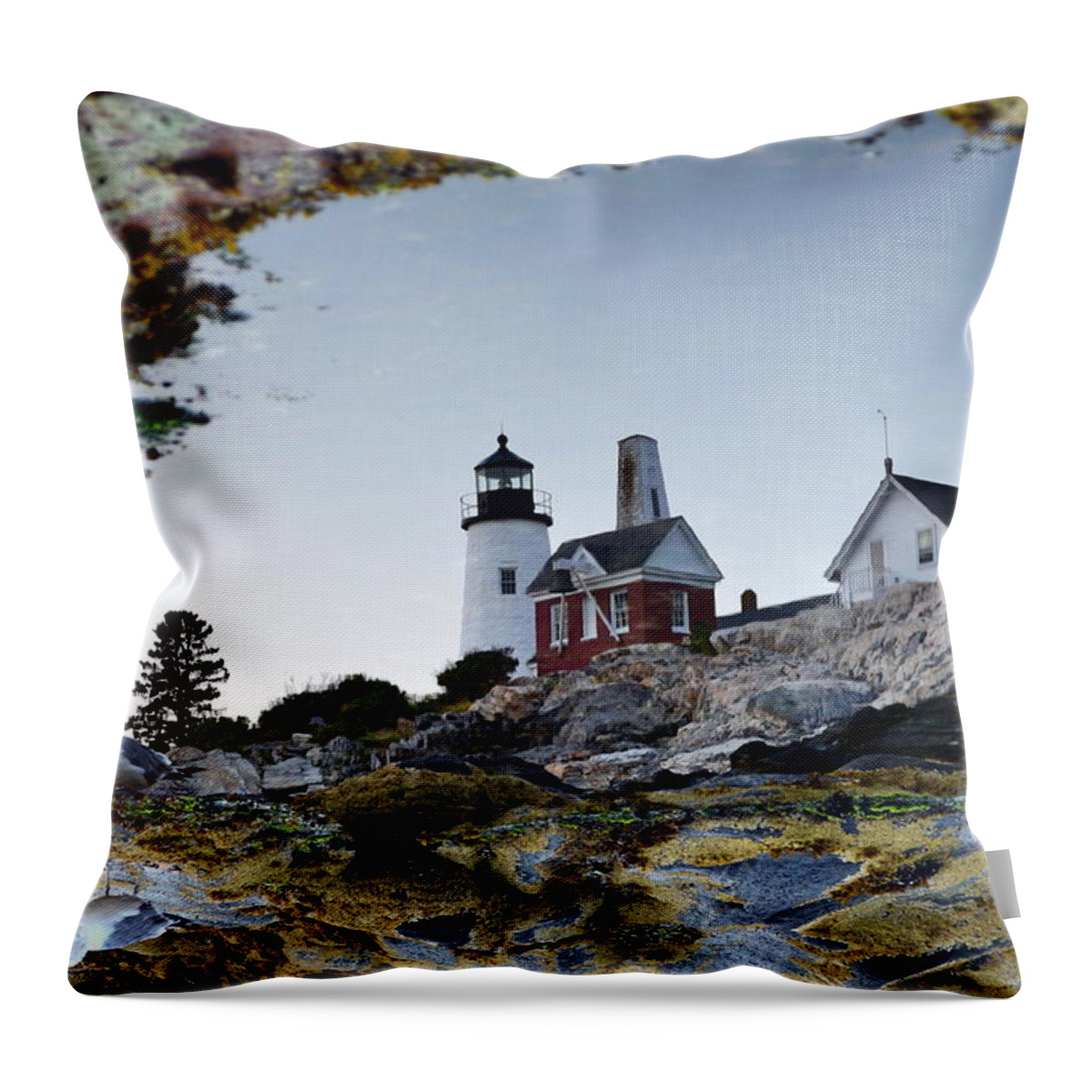 Pemaquid Point Throw Pillow featuring the photograph Tidal Pool Mirror by Colleen Phaedra