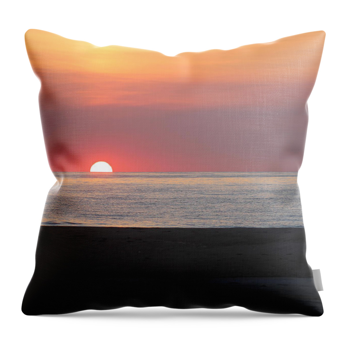 Seagull Throw Pillow featuring the photograph Seagull Watching Sunrise by Robert Banach