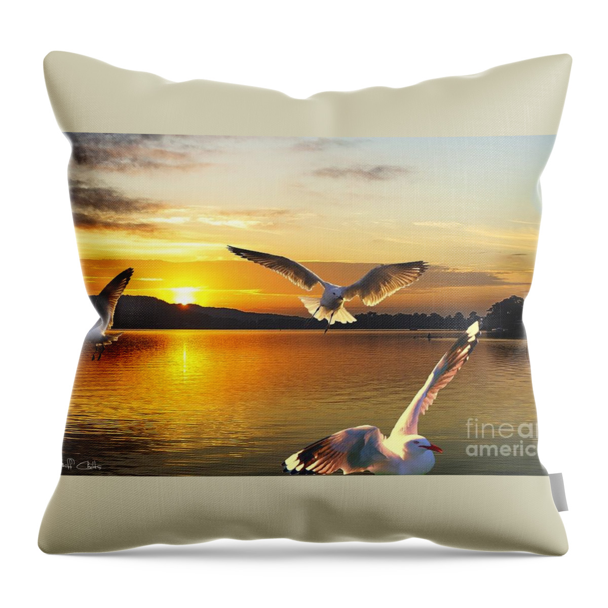 Golden Throw Pillow featuring the photograph Seagulls at Sunrise... Exclusive Original stock Photo Art by Geoff Childs