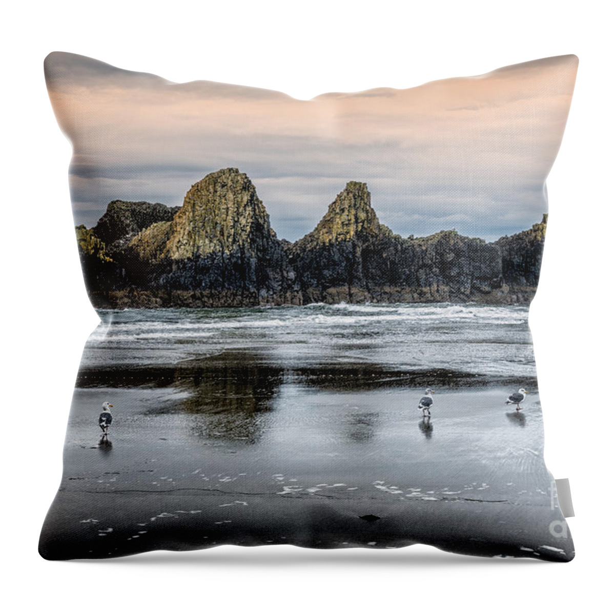 Alandersen.com Throw Pillow featuring the photograph Seagulls On Beach At Seal Rock by Al Andersen
