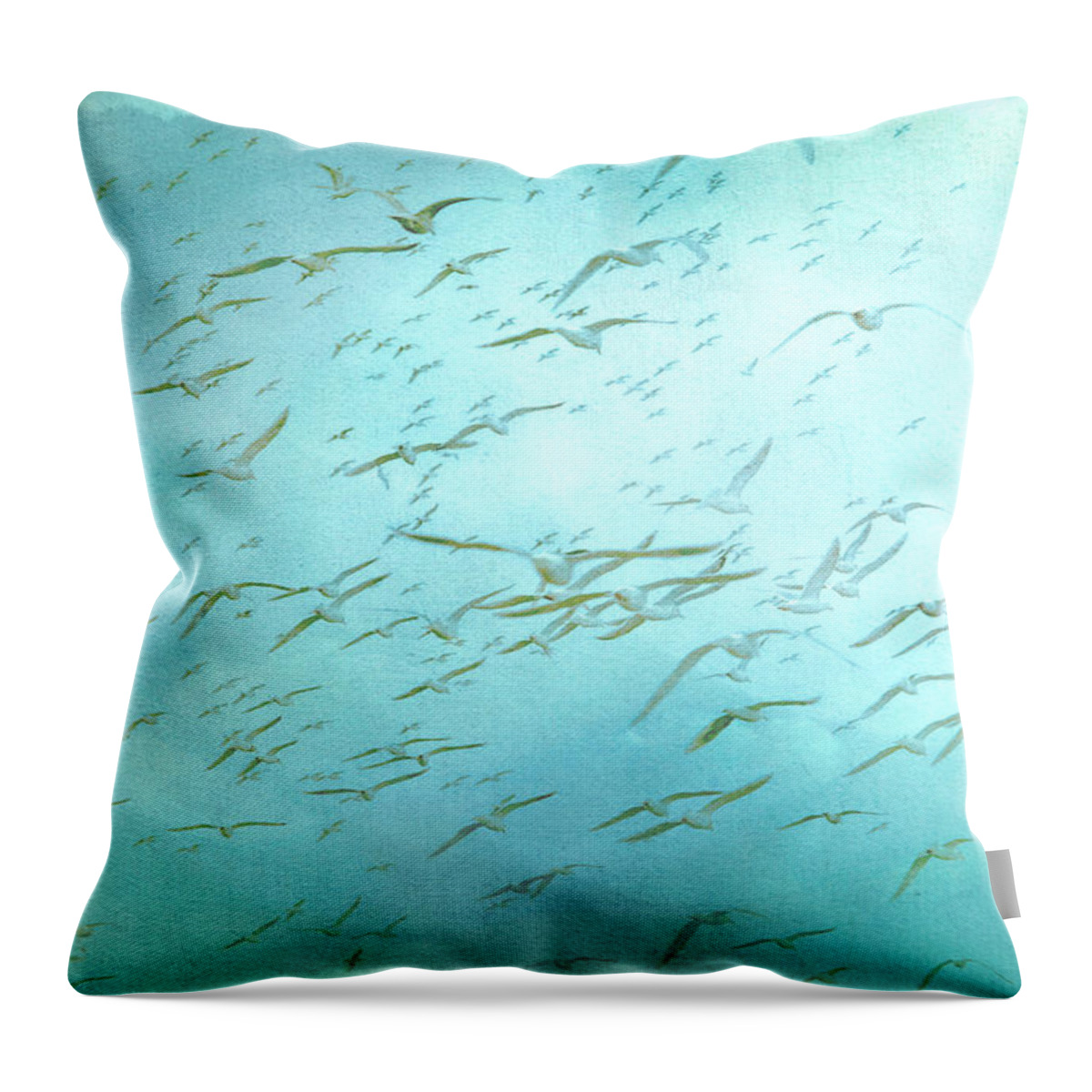 Seagulls Throw Pillow featuring the photograph Seagulls on Teal Blue Background by Peggy Collins