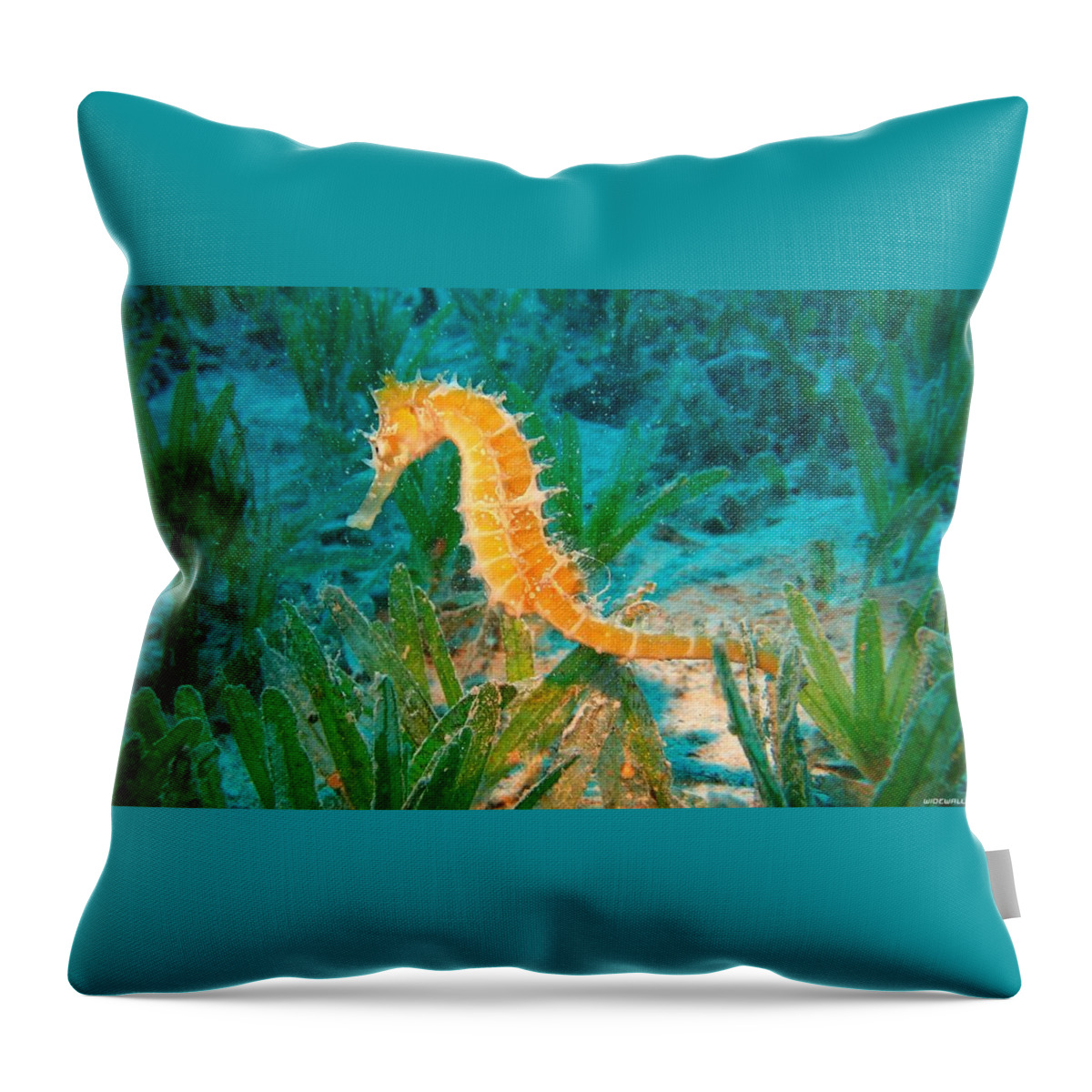Seahorse Throw Pillow featuring the photograph Seahorse by Jackie Russo
