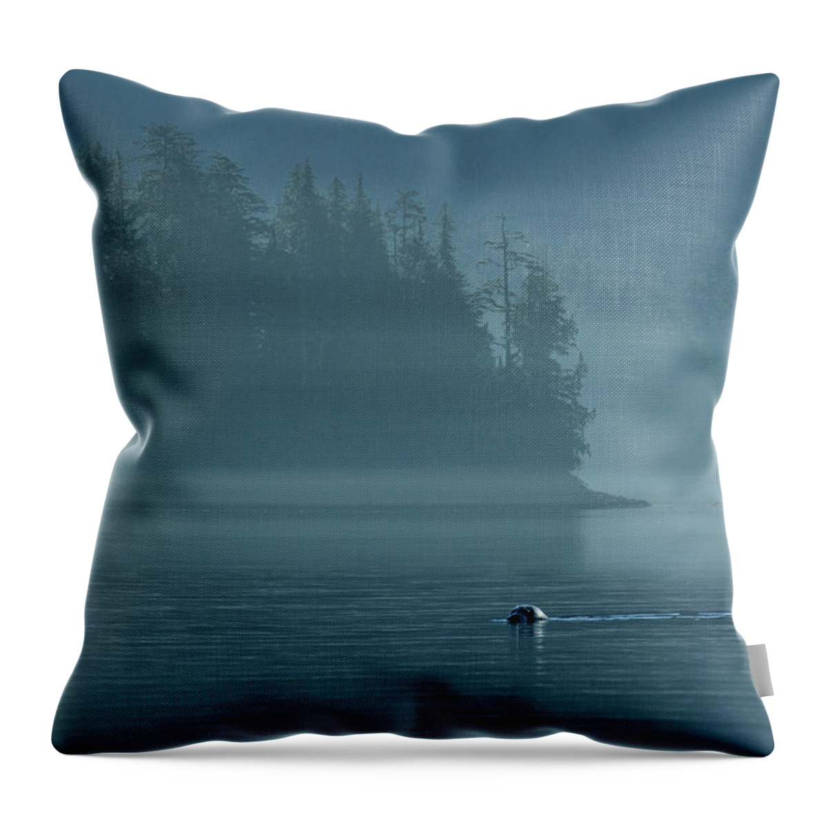 North America Throw Pillow featuring the photograph Seal by Christian Heeb