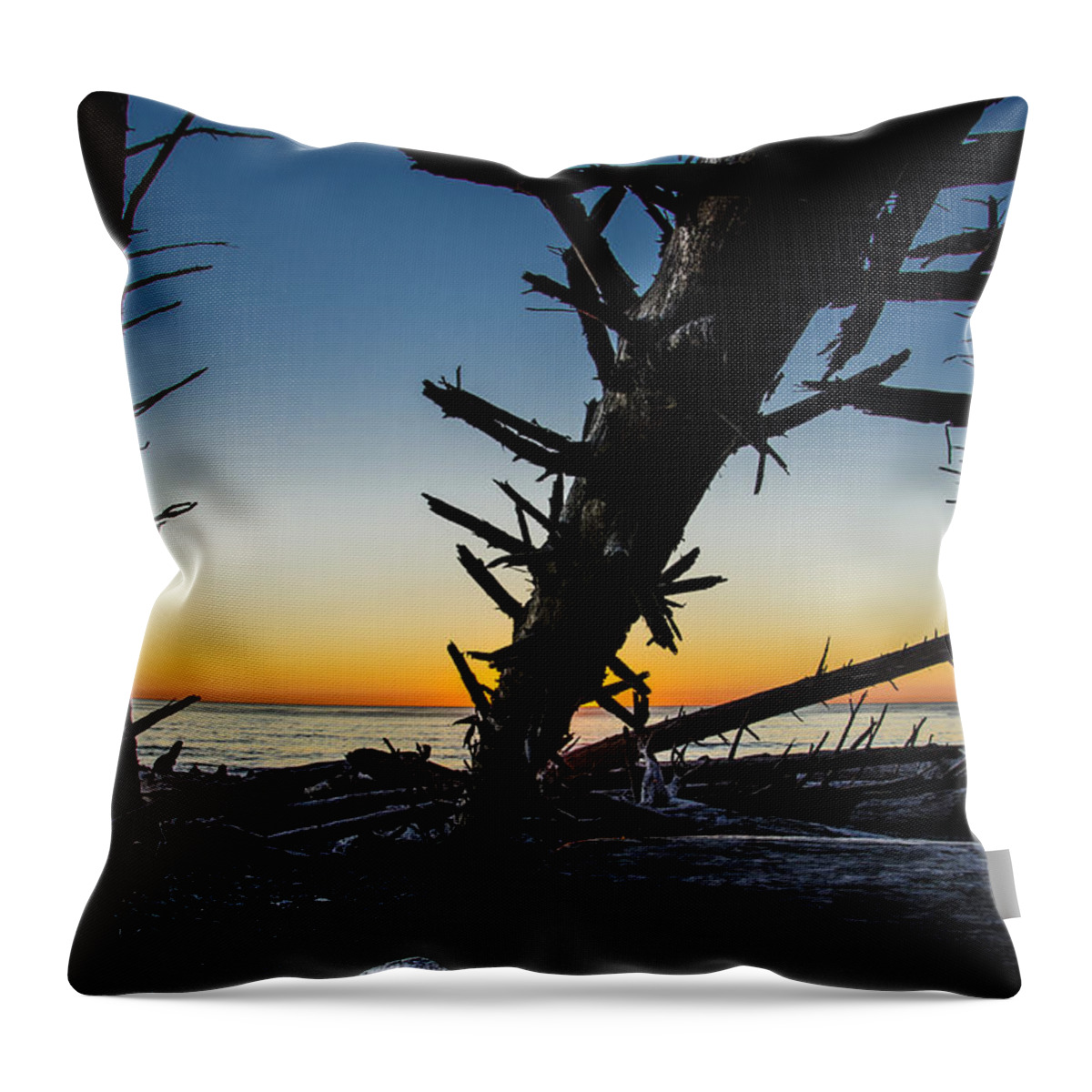 Branch Throw Pillow featuring the photograph Seaside Tree Branch Sunset 3 by Pelo Blanco Photo