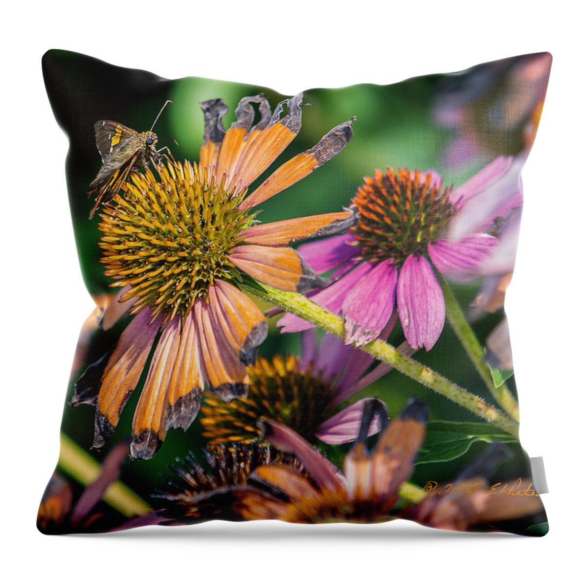 Flowers Throw Pillow featuring the photograph Season Ending by Ed Peterson