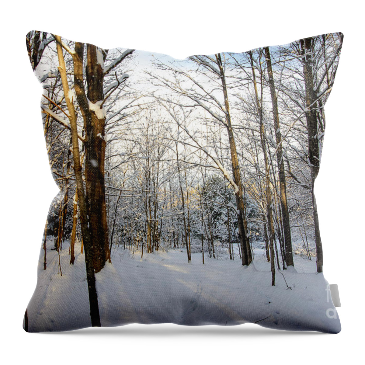 Snow Covered Throw Pillow featuring the photograph Seasons Change by Alana Ranney