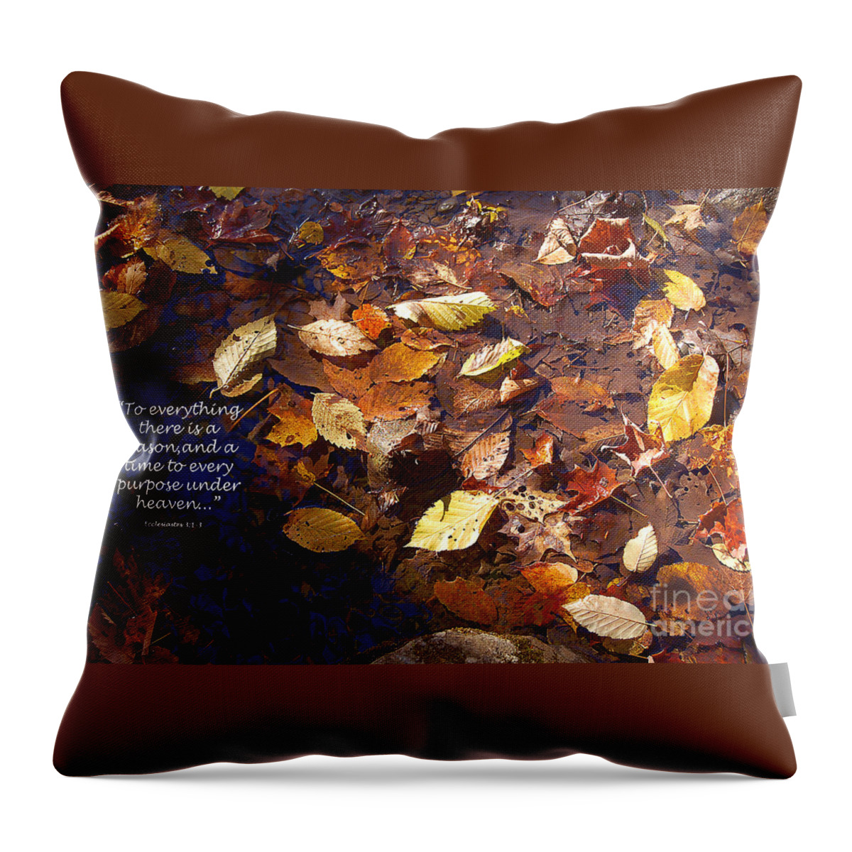 Diane Berry Throw Pillow featuring the photograph Seasons by Diane E Berry