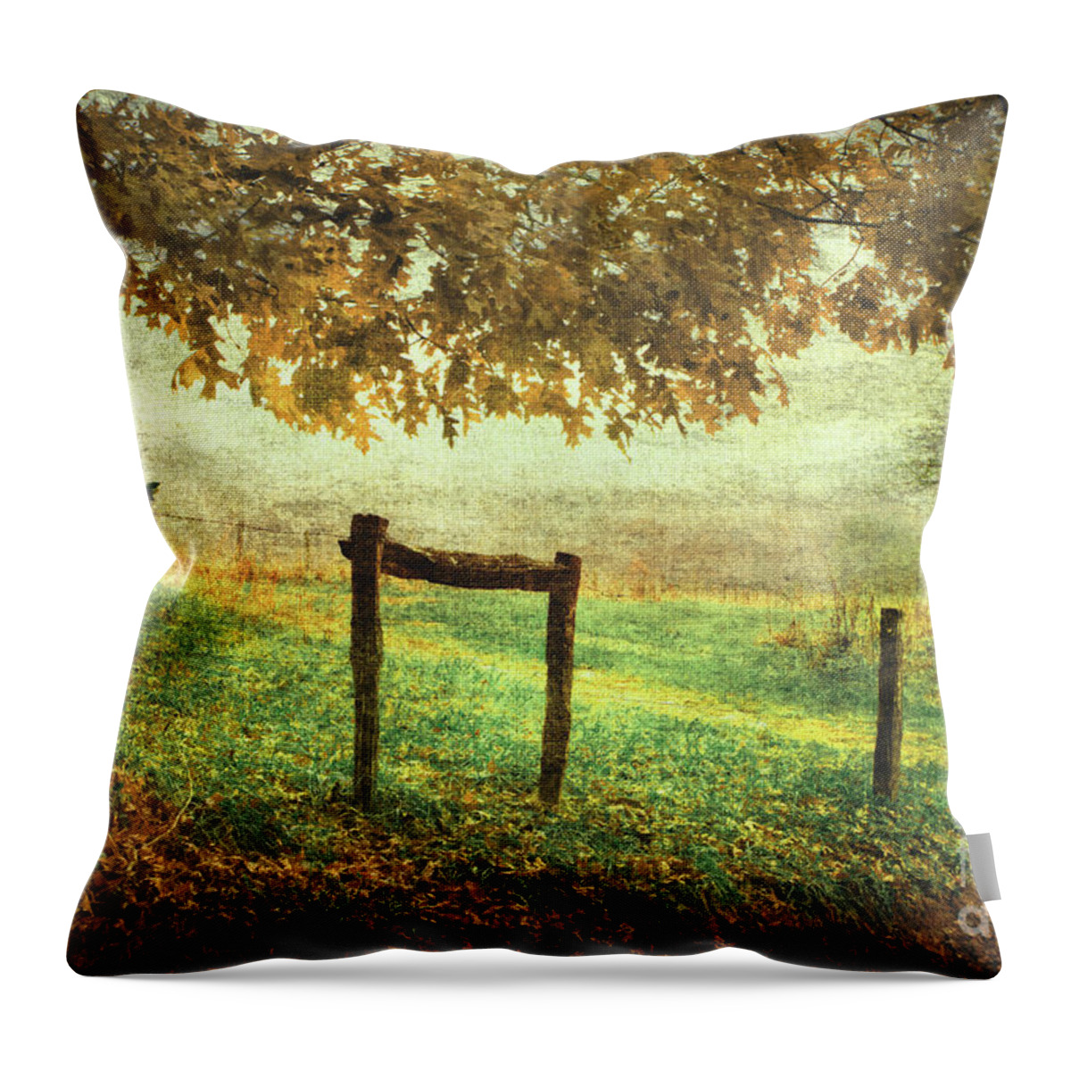 Fence Row Throw Pillow featuring the photograph Seasons Ending by Michael Eingle