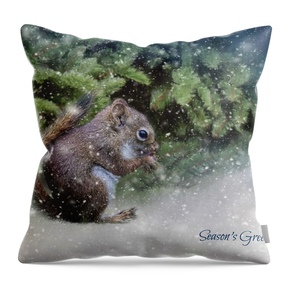 Squirrel Throw Pillow featuring the photograph Season's Greetings by Eva Lechner
