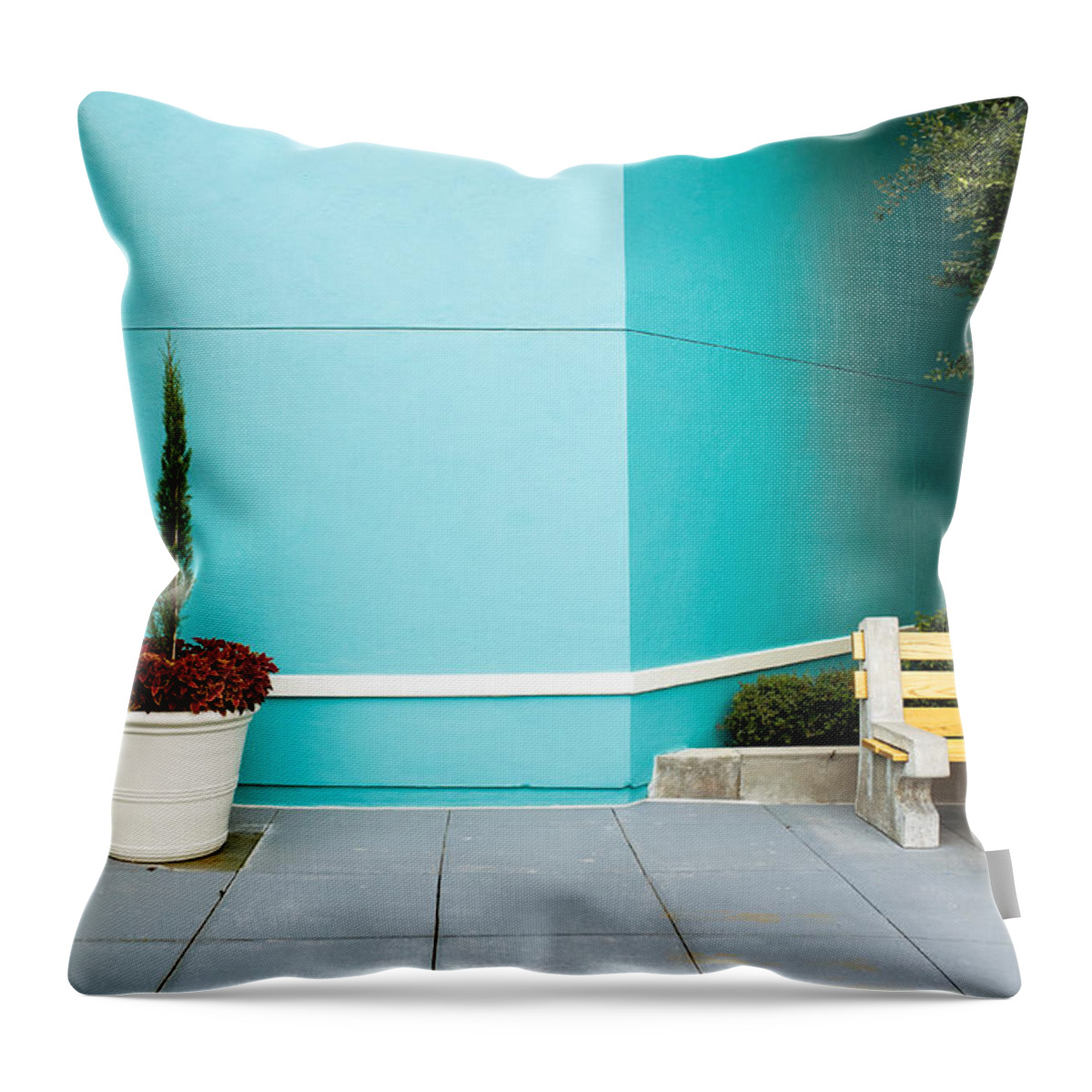 Still Life Throw Pillow featuring the photograph Seated by Nick Barkworth