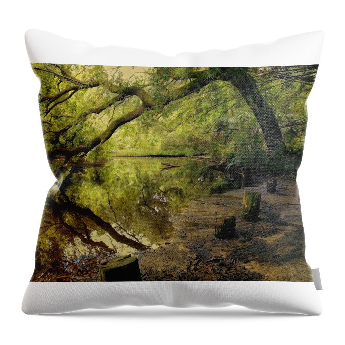 Swamp Throw Pillow featuring the photograph Secluded Sanctuary by Sherry Kuhlkin