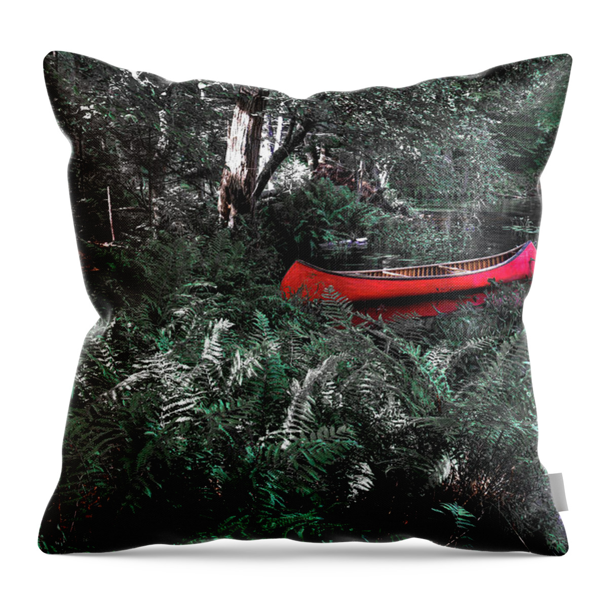 Secluded Spot Throw Pillow featuring the photograph Secluded Spot by David Patterson