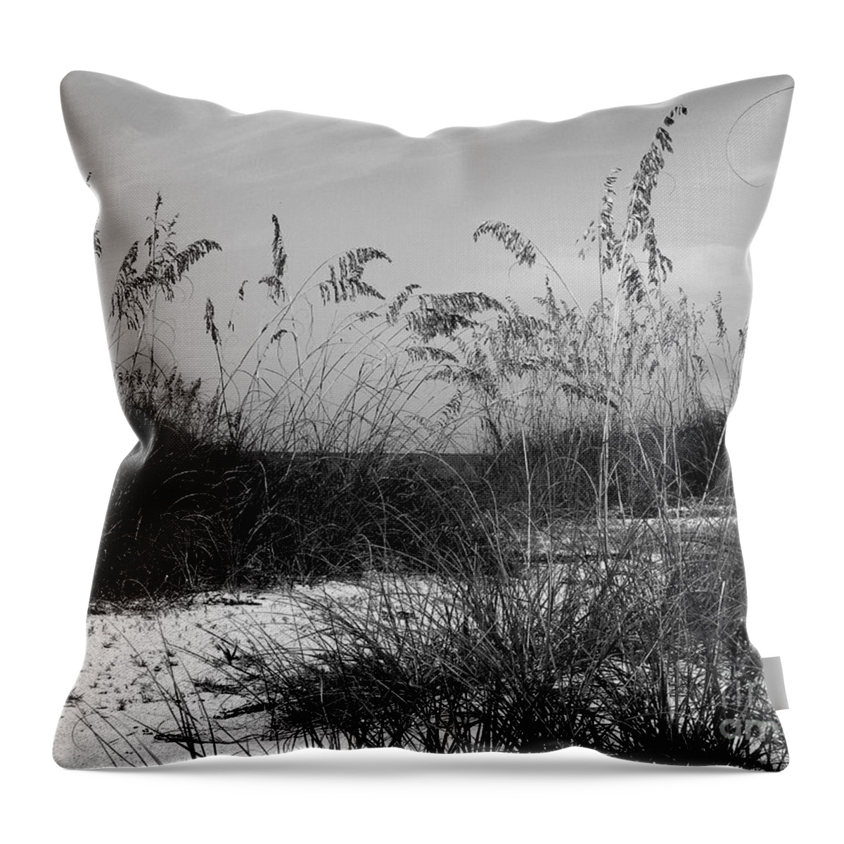 Sand Throw Pillow featuring the photograph Seclusion by Terri Mills