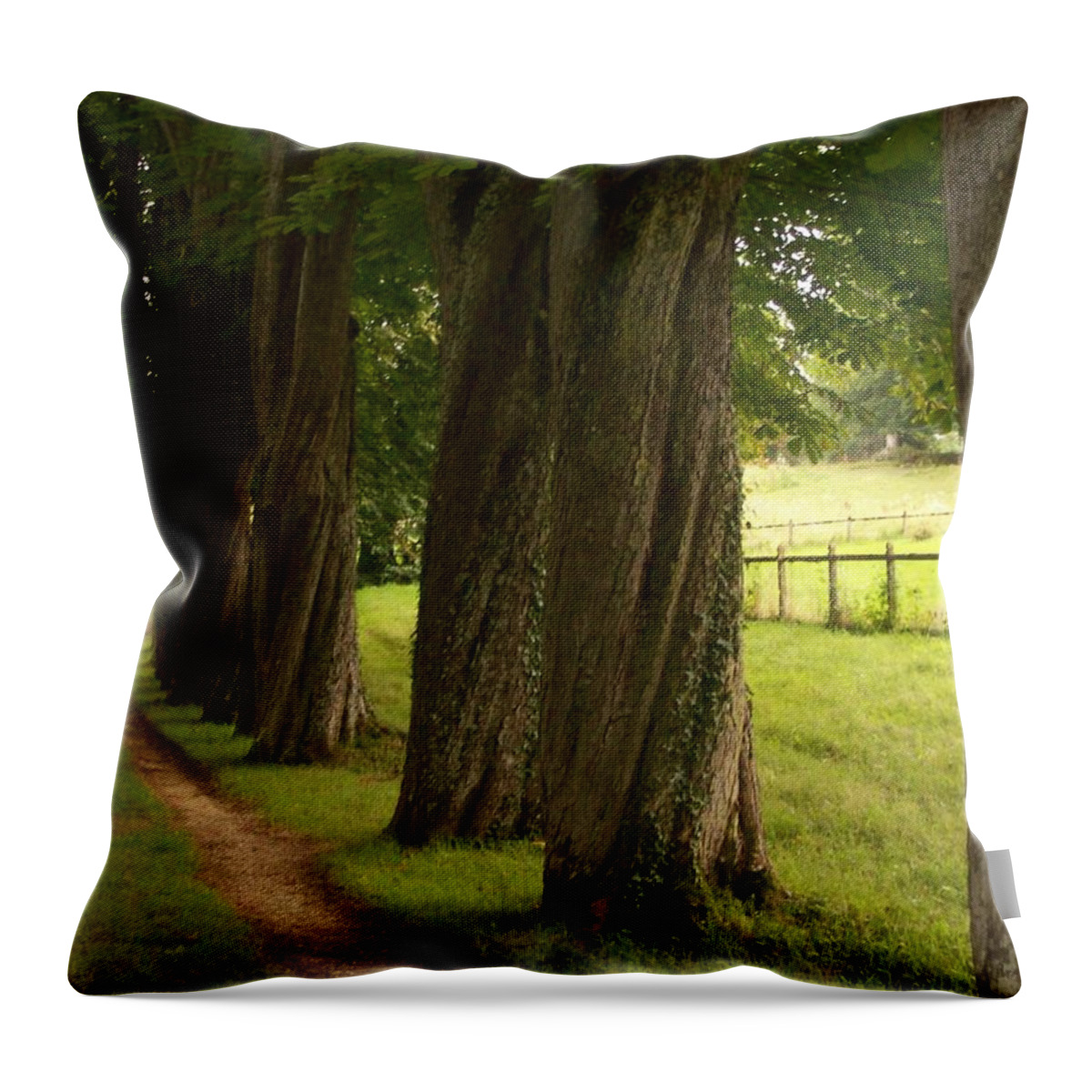 Secret Throw Pillow featuring the photograph Secret Path by Mary Mikawoz