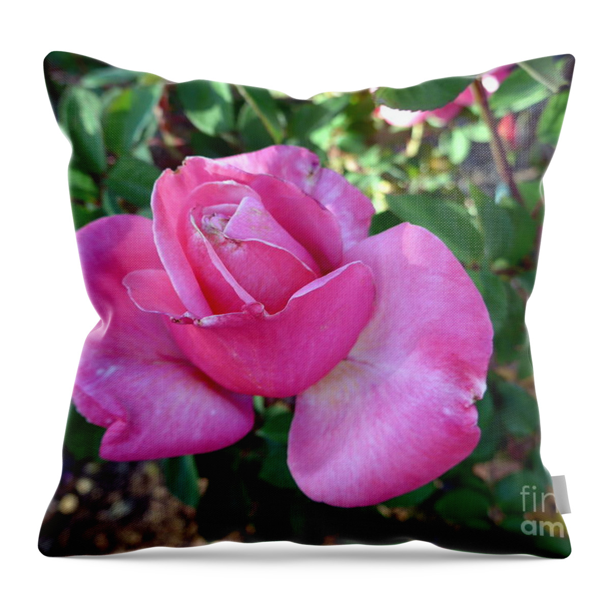 Rose Throw Pillow featuring the photograph Sedona Rose by Mars Besso
