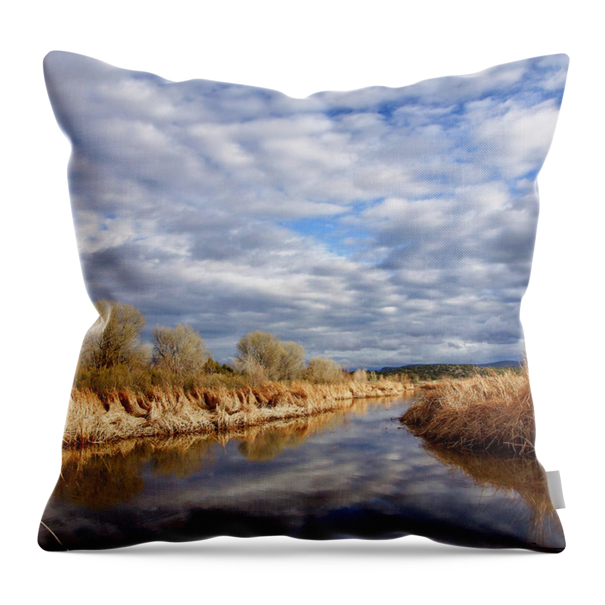 Reflections Throw Pillow featuring the photograph Sedona Wetlands by Leda Robertson