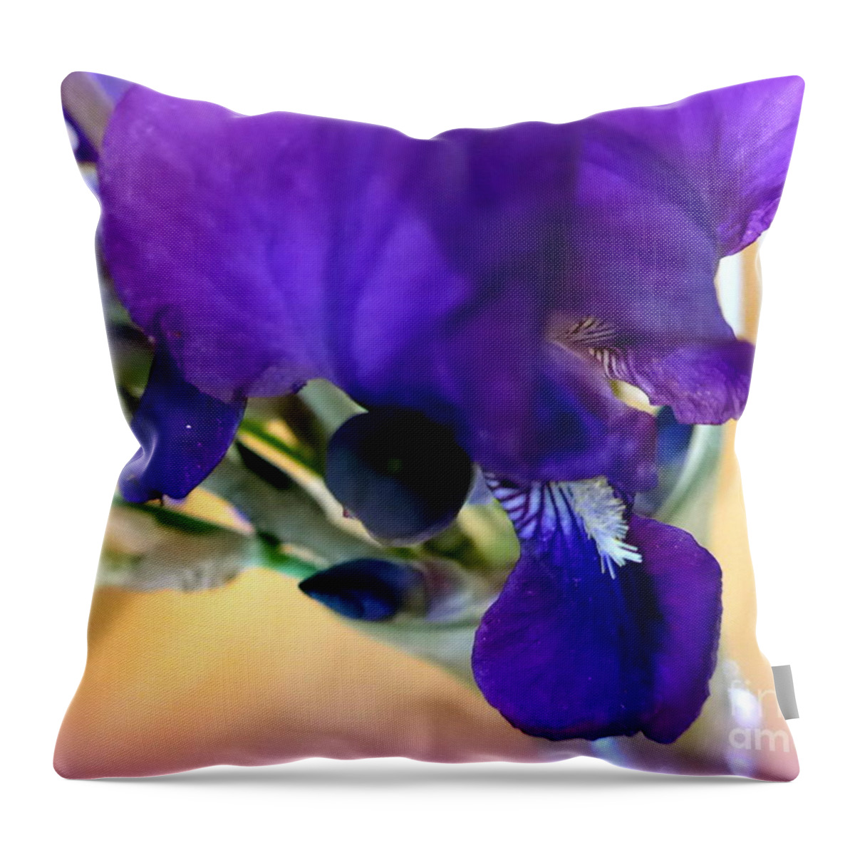 Iris Throw Pillow featuring the photograph Sedona Wild Iris by Mars Besso
