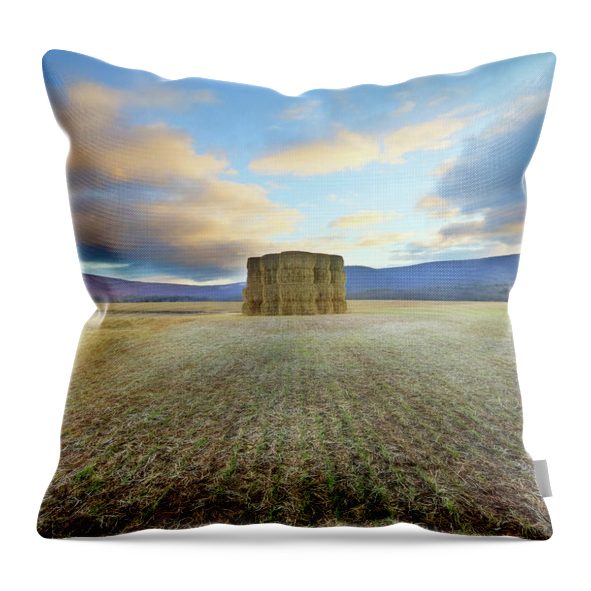 Farming Throw Pillow featuring the photograph See the Beauty by Lori Deiter